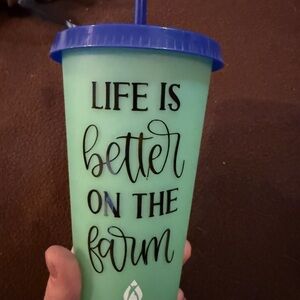 Blue and Green Insulated Tumbler